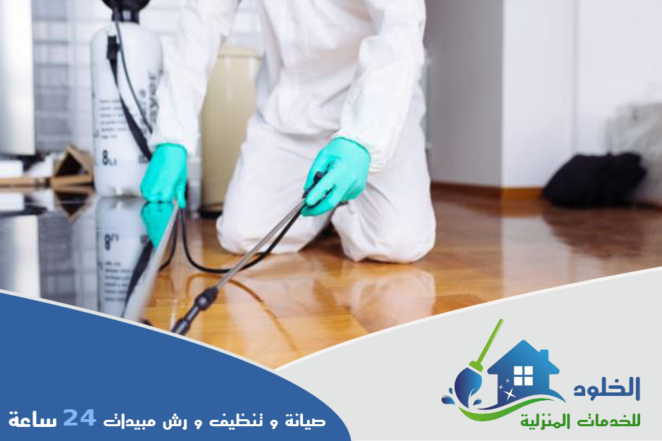 شركة مكافحة حشرات بالرياض